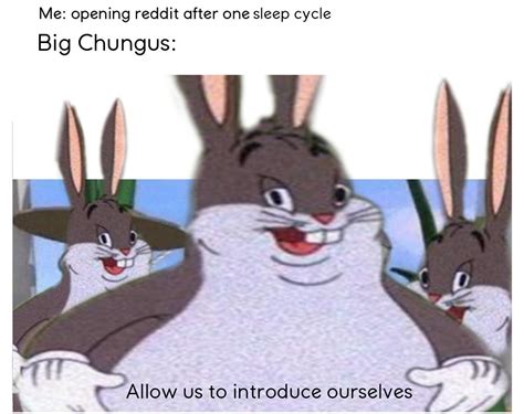 Big Chungus Meme By Cattomemesaredebest Memedroid