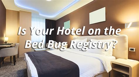 Is Your Hotel On The Bed Bug Registry Bed Bug Control Bed Bugs
