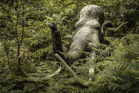 A fost secvențiat cel mai vechi ADN de mamut DCNews