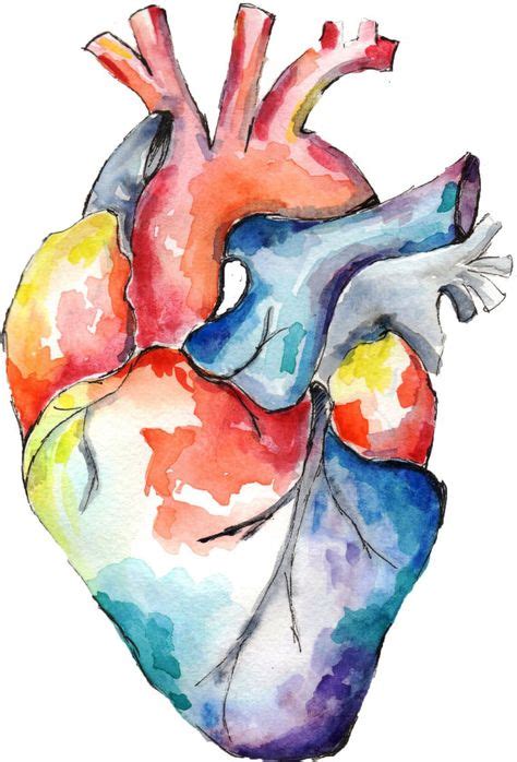 Know A Medico Or Anatomy Enthusiast With A Massive Multicolour Heart