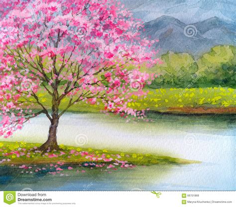 Watercolor Landscape Flowering Pink Tree By Lake Stock