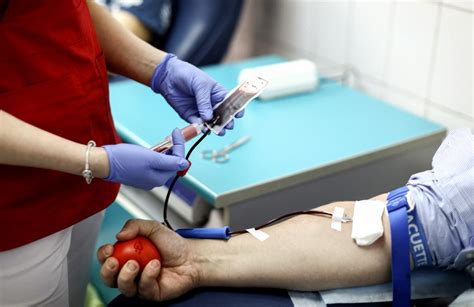 What Is Apheresis Blood Donation All You Need To Know Update 04 2024