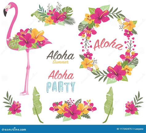 aloha cartoons illustrations and vector stock images 46986 pictures to download from