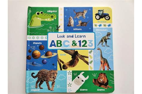 Look And Learn Abc And 123 Booky Wooky