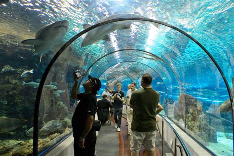 Barcelona Aquarium Barthelona A Lesson In Pronunciation