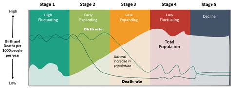 Demographic Transition Theory In A Nutshell Statchat