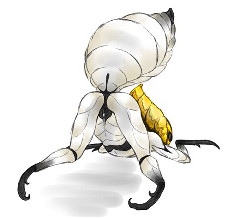 Rule 34 Arthropod Ass Up Female From Behind Godseeker Hollow Knight Insects No Humans