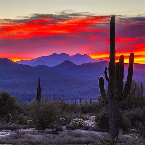 Desert Sunset Arizona Landscape Arizona Sunset Desert
