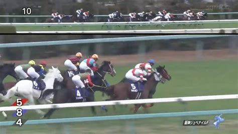 団法人カケンテストセンター ※2：astm f 2101 バクテリア飛沫捕集（ろ過）効率試験 ※3：花粉粒. ゴールドシップ産駒のユーバーレーベンが3着www | ケイバペディア