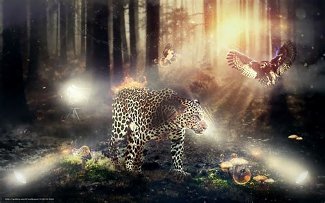 Download Wallpaper Leopard Fauna And Flora Free Desktop Wallpaper In