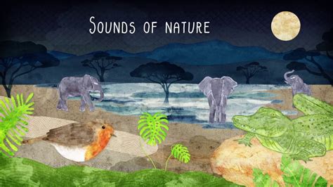 Sounds Of Nature Teaser Va Youtube