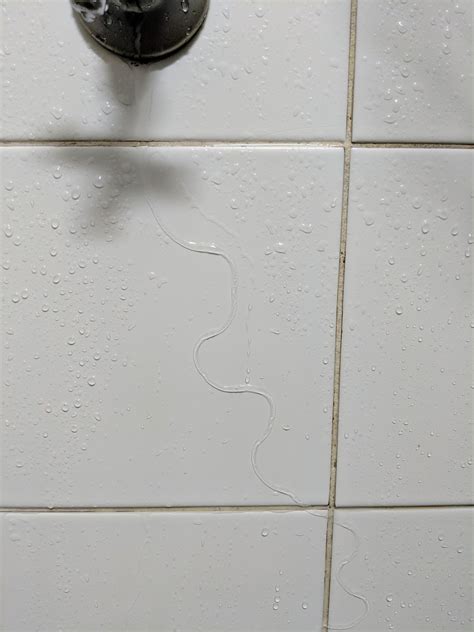 How The Water Drips Down The Wall R Mildlyinteresting