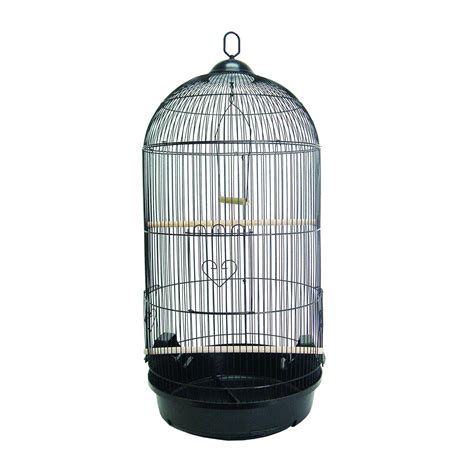 Yml Round Black Bird Cage Large Petco Black Bird Cage Bird Cages