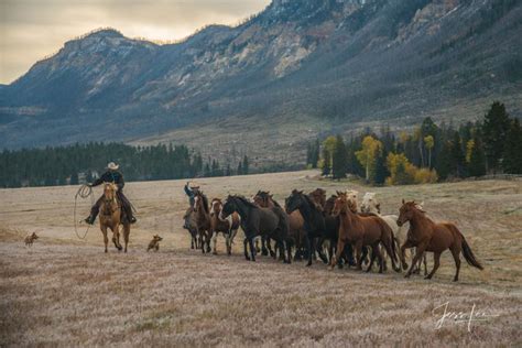 Cowboys And Wild Horses Photography Workshop June 10 16 2023 Photos