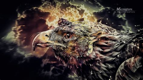 1600x900 Resolution Illustration Of Eagle Eagle Digital Art