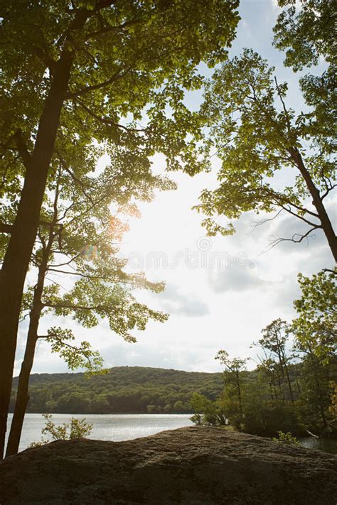 Lake Surrounded By Trees Stock Photo Image Of Cloud 62563386