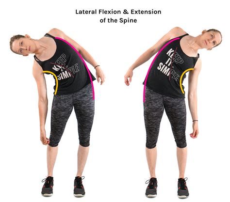 Flexion And Extension In Detail Tom Morrison