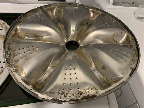 Mold thrives in damp and dark places like the rubber gasket in your front load washer. Top Loader washer mold/brown residue disgusting - Samsung ...
