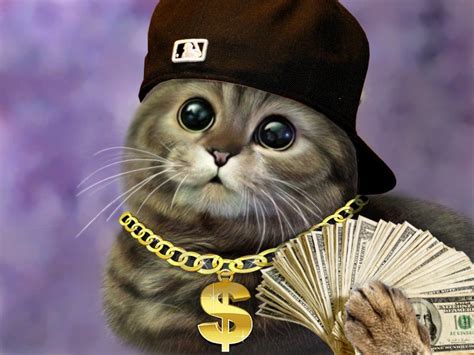 Thug Cat Wallpapers Top Free Thug Cat Backgrounds Wallpaperaccess