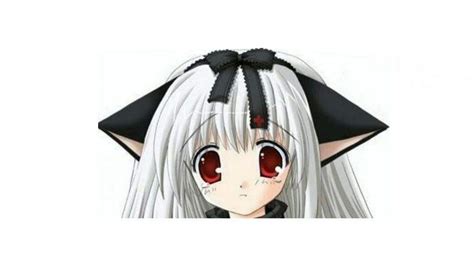 Cat Ears Anime Amino