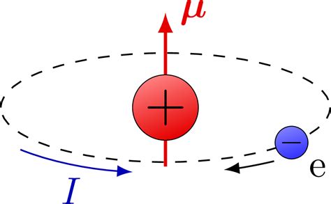 Magnetic Moment