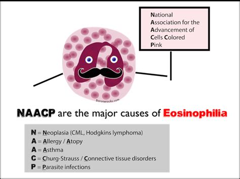 Naacp Mnemonic For The Major Causes Of Eosinophilia Grepmed