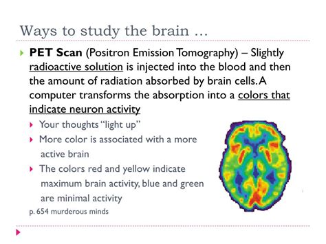 PPT - Methods of Studying The Brain PowerPoint Presentation, free 