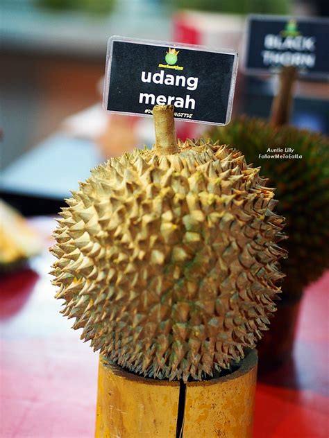 Kelebihan lain yang dimiliki oleh durian jenis ini adalah memiliki biji kecil, tekstur lembut dan aroma yang kuat serta kombinasi dri rasa manis. Follow Me To Eat La - Malaysian Food Blog: BLACK THORN ...