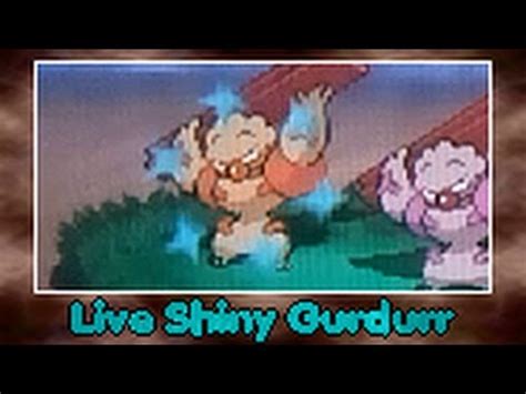 Live Shiny Gurdurr Ouvrifier After Re Youtube