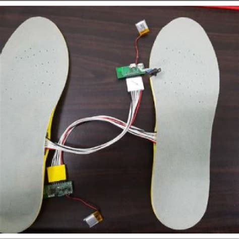 The Smart Insole Used For Implementing The Proposed System Download