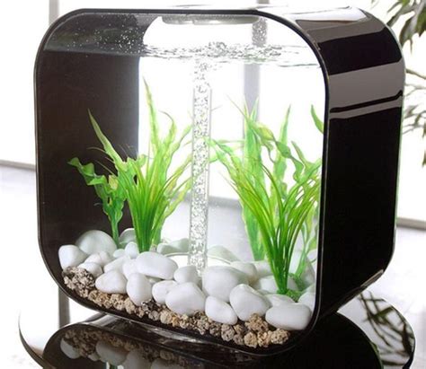 Best Small Aquarium Fish Aquarium Design Modern Fish Tank Aquarium