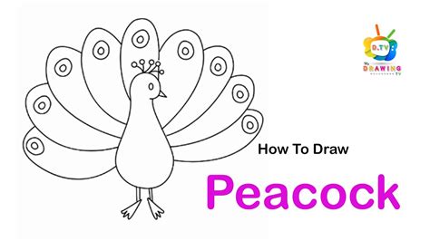 How To Draw A Peacock Easy Drawing Step By Step Youtube
