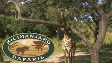 Kilimanjaro Safaris Full Ride Through At Disneys Animal Kingdom Youtube