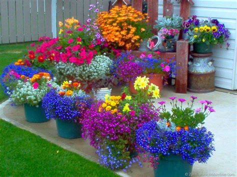 Color Combinations To Match Talavera Planters Container Flowers