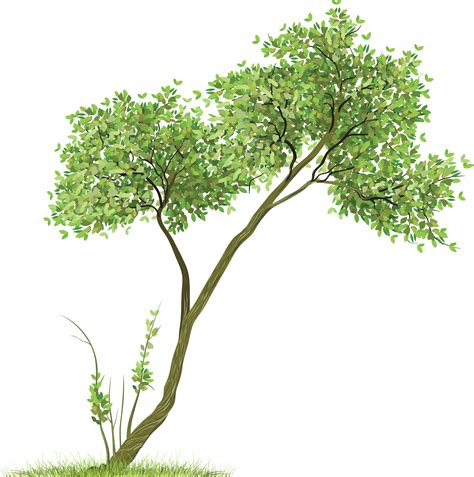 Maybe you would like to learn more about one of these? Tree PNG images | Trees