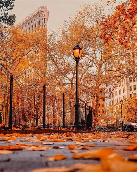 New York Autumn Leaves Wallpapers Wallpaper Cave