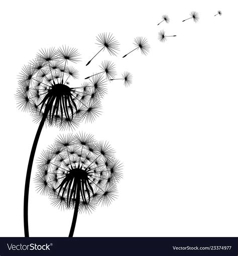 Download 20,383 dandelion free vectors. Silhouette of a flowering dandelion Royalty Free Vector