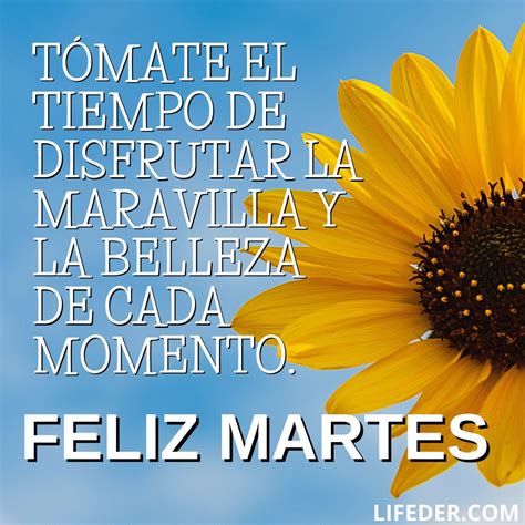 Feliz Martes 100 Frases Para Dedicar Y Compartir Imágenes