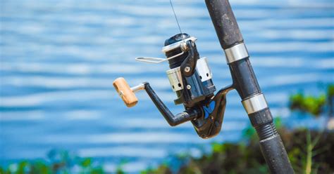 Daiwa Spincast Reel Vs Zebco Reel Which One Is Right For You