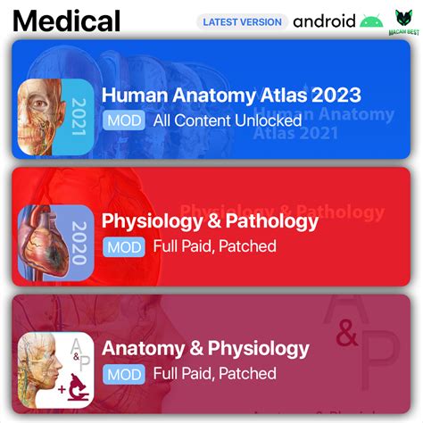 Human Anatomy Atlas 2024 Physiology And Pathology Anatomy