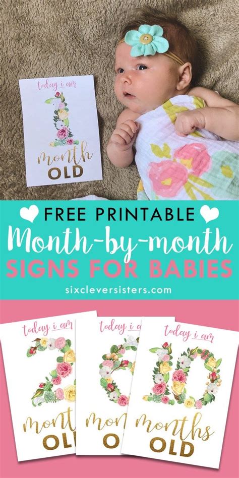 Floral Month Signs For Baby Pictures Six Clever Sisters Baby Month