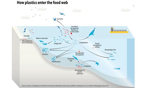 Marine Plastic Pollution A Planetary Environmental
