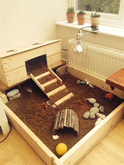 What To Feed Your Tortoise To Keep Them Healthy Tortoise Enclosure