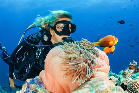 Why Should You Study Marine Biology In Australia
