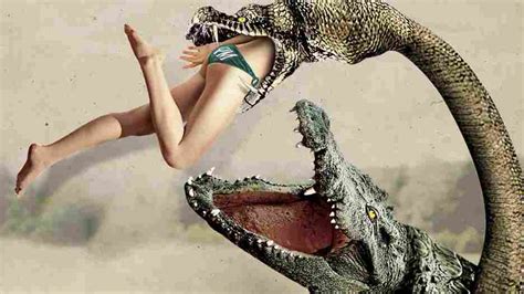 Actualizar Imagen El Cocodrilo Vs Anaconda Jenny May Darcy