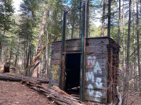 My Quest To Understand The Giant Bigfoot Trap I Found Near The Calif
