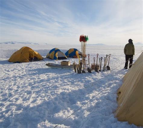 Camping In Antarctica Everything You Need To Know Tourradar