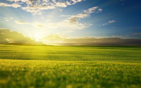 Sky And Grass Wallpapers Top Free Sky And Grass Backgrounds WallpaperAccess