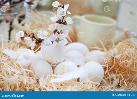 Easter Eggs Still Life Stock Photo Image Of Decorated 144828560