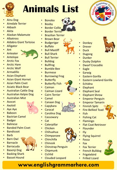 50 Animals Name Detailed Animals Names List English Grammar Here